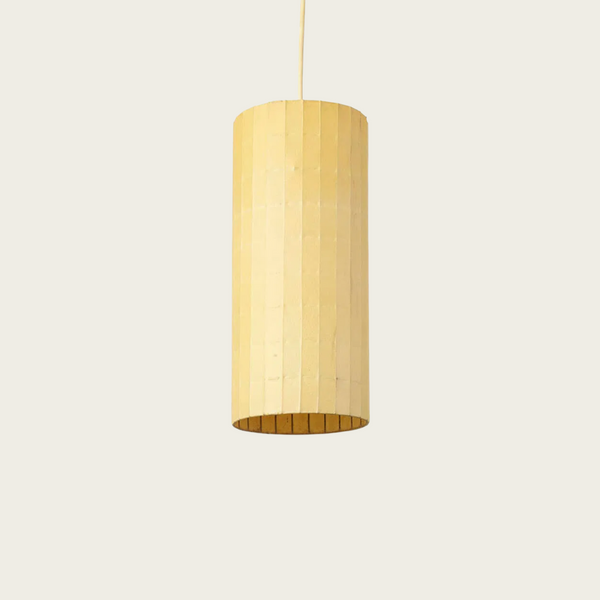 Cylindrical Patinated Fiberglass Pendant lamp by George Nelson & Associates