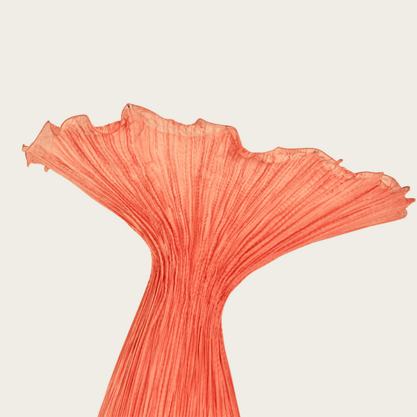 Morning Glory Floor Lamp by Aqua Creations