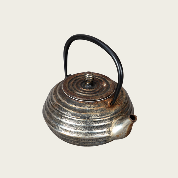 Japanese Silvered Iron Teapot