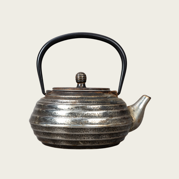 Japanese Silvered Iron Teapot