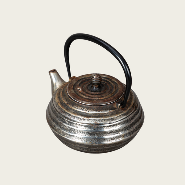 Japanese Silvered Iron Teapot