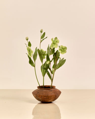 Pre-Columbian Ceramic Wide Mouth Bowl