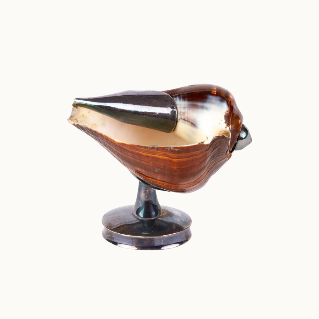 Art Deco Sterling Silver Nautilus Shell Salt Cellar