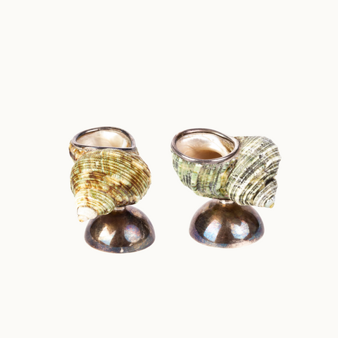 Sterling Silver Nautilus Shell Salt Cellar